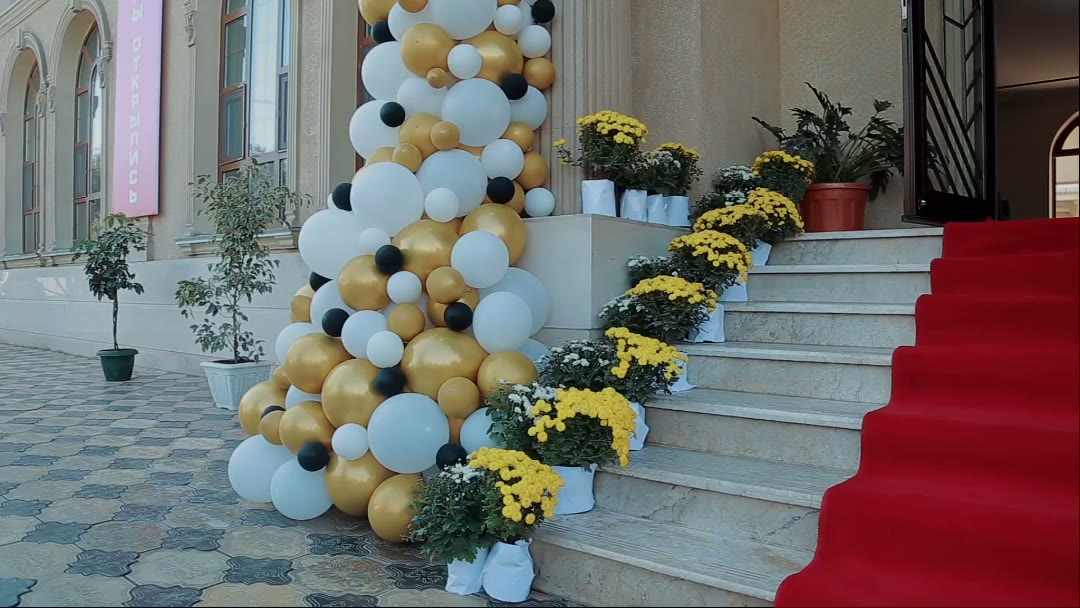 Opening ceremony, red carpet — BOSHIDAN Hotel
